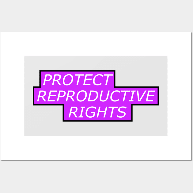 Protect Reproductive Rights - Pro Abortion Wall Art by Football from the Left